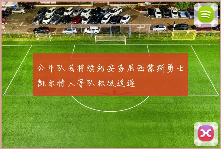 公牛队或将续约安芬尼西蒙斯勇士凯尔特人等队积极追逐